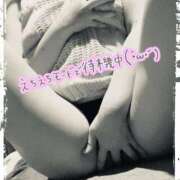 ヒメ日記 2025/11/24 13:47 投稿 ゆか みせすはーと