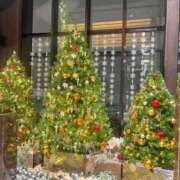 ヒメ日記 2024/12/20 16:31 投稿 ちはるさん いけない奥さん 梅田店