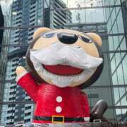 ヒメ日記 2025/12/12 17:43 投稿 ちはるさん いけない奥さん 梅田店