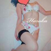 ヒメ日記 2024/12/10 12:03 投稿 Haruka ワンカラット～人妻の輝き～