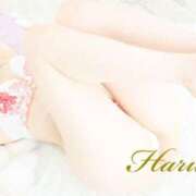 ヒメ日記 2026/07/25 10:03 投稿 Haruka ワンカラット～人妻の輝き～