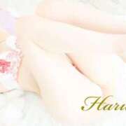 ヒメ日記 2026/07/25 10:21 投稿 Haruka ワンカラット～人妻の輝き～