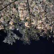 ヒメ日記 2025/04/06 20:22 投稿 大久保ゆき 乳ビーナス(New Venus)