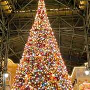 ヒメ日記 2024/12/17 18:47 投稿 リオ Club 妻