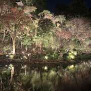 ヒメ日記 2024/12/23 19:09 投稿 リオ Club 妻