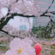 ヒメ日記 2025/04/01 07:58 投稿 リオ Club 妻