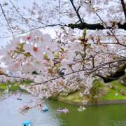 ヒメ日記 2025/04/07 19:51 投稿 リオ Club 妻