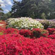 ヒメ日記 2025/05/01 23:58 投稿 リオ Club 妻