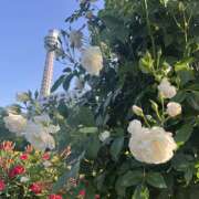 ヒメ日記 2025/05/07 00:02 投稿 リオ Club 妻