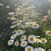 ヒメ日記 2025/05/14 23:43 投稿 リオ Club 妻