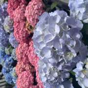 ヒメ日記 2025/05/23 20:18 投稿 リオ Club 妻