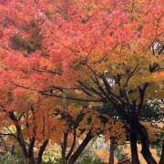 ヒメ日記 2025/11/29 18:13 投稿 リオ Club 妻