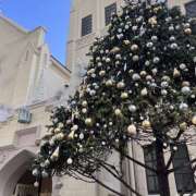 ヒメ日記 2025/12/24 17:22 投稿 リオ Club 妻