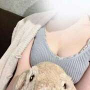 ヒメ日記 2025/08/23 11:52 投稿 佐伯ゆい AJ DOLLS(エージェイドールズ)