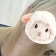 ヒメ日記 2025/10/07 22:56 投稿 せいら 新潟デリヘル倶楽部