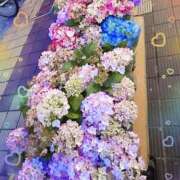 ヒメ日記 2025/07/01 09:06 投稿 千歳（ちとせ） 熟女の風俗最終章 大宮店