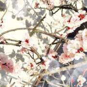 ヒメ日記 2026/03/09 08:25 投稿 千歳（ちとせ） 熟女の風俗最終章 大宮店