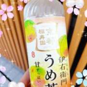 ヒメ日記 2026/09/14 19:35 投稿 千歳（ちとせ） 熟女の風俗最終章 大宮店