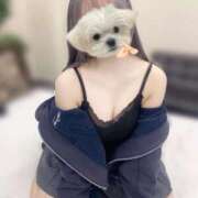 ヒメ日記 2025/09/06 22:13 投稿 みかん 東京リップ 秋葉原店