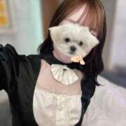 ヒメ日記 2025/10/13 20:54 投稿 みかん 東京リップ 秋葉原店