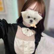 ヒメ日記 2025/10/13 21:05 投稿 みかん 東京リップ 上野店