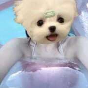 ヒメ日記 2026/03/09 15:46 投稿 みかん 東京リップ 上野店