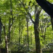 ヒメ日記 2025/08/19 13:02 投稿 白鳥　えみ アムアージュ