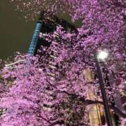 ヒメ日記 2026/04/15 11:03 投稿 あんじゅ ハピネス札幌