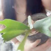 ヒメ日記 2025/05/11 14:15 投稿 ゆりな 素人系イメージSOAP 彼女感 宇都宮本館