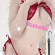 ヒメ日記 2026/01/24 21:47 投稿 ななこ 横浜回春性感マッサージ倶楽部