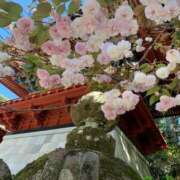 ヒメ日記 2025/03/18 19:06 投稿 せな ENTERTAINMENT SOAP LOVE VEGAS(ラブベガス)