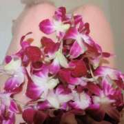 ヒメ日記 2025/04/29 21:44 投稿 水野 熟女の風俗最終章 新横浜店