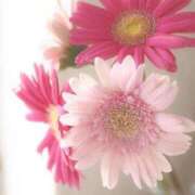 ヒメ日記 2025/05/23 12:58 投稿 水野 熟女の風俗最終章 新横浜店