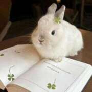 ヒメ日記 2025/06/09 13:06 投稿 水野 熟女の風俗最終章 新横浜店