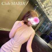 ヒメ日記 2026/04/02 08:07 投稿 世玲渚【セレナ】 club MARIA(大阪)