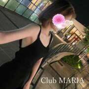 ヒメ日記 2026/09/04 08:07 投稿 世玲渚【セレナ】 club MARIA(大阪)