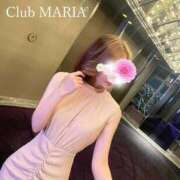 ヒメ日記 2026/10/07 08:07 投稿 世玲渚【セレナ】 club MARIA(大阪)