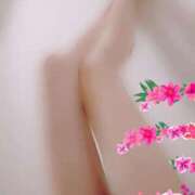 ヒメ日記 2025/04/20 17:12 投稿 さな 小山人妻隊