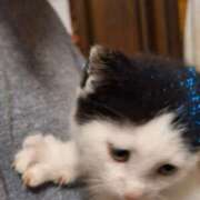 ヒメ日記 2025/01/06 09:57 投稿 もも モアグループ 土浦人妻花壇