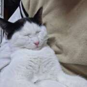 ヒメ日記 2025/04/24 10:33 投稿 もも モアグループ 土浦人妻花壇