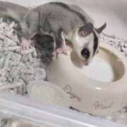 ヒメ日記 2025/06/16 23:21 投稿 もも モアグループ 土浦人妻花壇