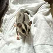 ヒメ日記 2025/07/11 18:36 投稿 もも モアグループ 土浦人妻花壇