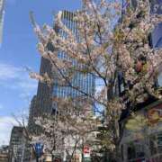 ヒメ日記 2025/04/05 12:04 投稿 ハルヒ Cawaiiハイ！スクールリターンズ