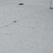 ヒメ日記 2025/02/08 08:29 投稿 ミキ AMOUR（アムール）