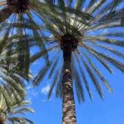 ヒメ日記 2025/03/23 09:59 投稿 ミキ AMOUR（アムール）