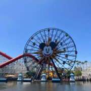 ヒメ日記 2025/08/18 07:38 投稿 ミキ AMOUR（アムール）