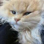 ヒメ日記 2026/01/07 20:28 投稿 ミキ AMOUR（アムール）