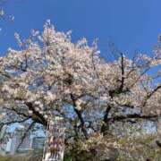 ヒメ日記 2026/04/21 20:56 投稿 ミキ AMOUR（アムール）