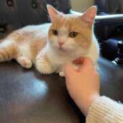 ヒメ日記 2025/03/17 21:19 投稿 前川 鶯谷デッドボール