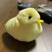 ヒメ日記 2025/11/18 17:51 投稿 前川 鶯谷デッドボール